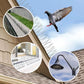 Stainless Steel Bird Spikes