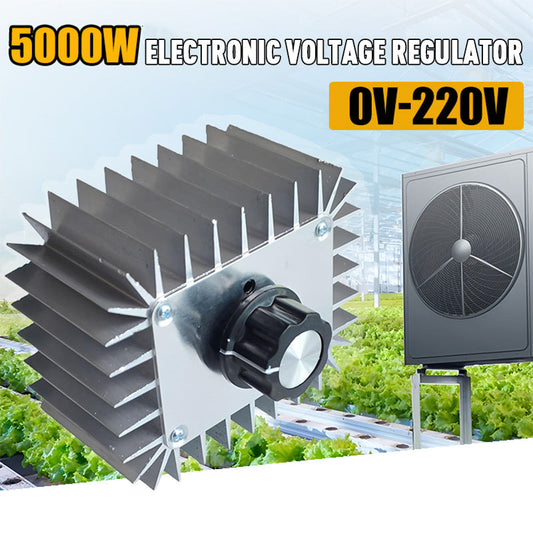 5000W Electronic Voltage Regulator