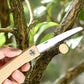 Mini Folding Hand Saw⚡Cut Faster, Work Smarter🌲