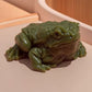 ⏳Limited time 50% discount💥Squishy frog stress toy