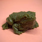⏳Limited time 50% discount💥Squishy frog stress toy