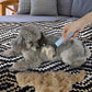 Fur brush for cats and dogs
